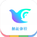 一个奇鸽船app