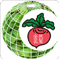 全民买菜app官方版下载 v1.3