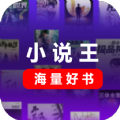 小说王app