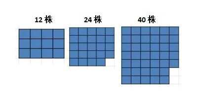 心动小镇杂交怎么弄触发  花卉杂交保姆级攻略图片2